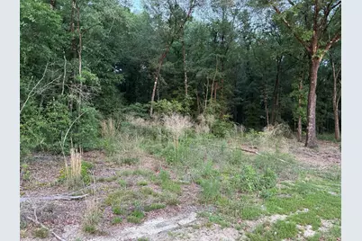 Lot 38 Holly Lake Court, Defuniak Springs, FL 32433 - Photo 6