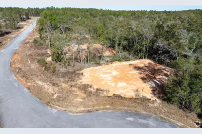 Lot 16 Black Bear Court, Defuniak Springs, FL 32435 - Photo 12