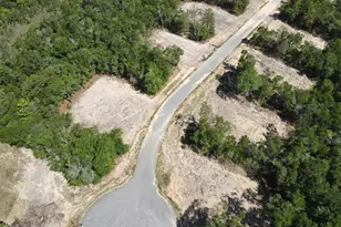 Lot 16 Black Bear Ct, Defuniak Springs, FL 32435 - Photo 1