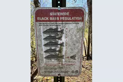 Lot 3 Coon Bottom Estate, Ponce de Leon, FL 32455 - Photo 2