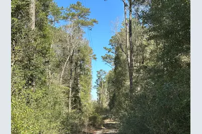 Lot 3 Coon Bottom Estate, Ponce de Leon, FL 32455 - Photo 12