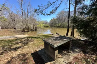 Lot 3 Coon Bottom Estate, Ponce de Leon, FL 32455 - Photo 1