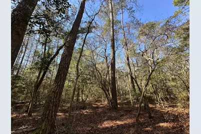 Lot 3 Coon Bottom Estate, Ponce de Leon, FL 32455 - Photo 16