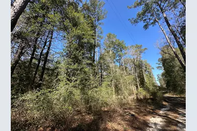 Lot 4 Coon Bottom Estate, Ponce de Leon, FL 32455 - Photo 14