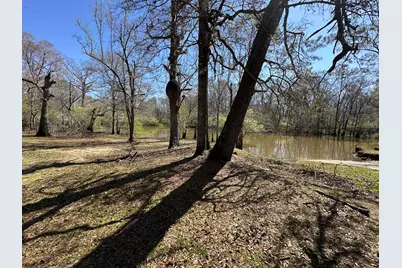 Lot 4 Coon Bottom Estate, Ponce de Leon, FL 32455 - Photo 4