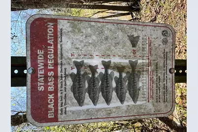 Lot 4 Coon Bottom Estate, Ponce de Leon, FL 32455 - Photo 2