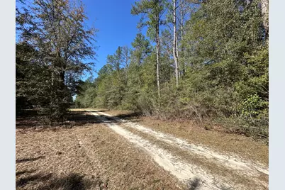 Lot 4 Coon Bottom Estate, Ponce de Leon, FL 32455 - Photo 10