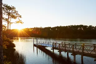 Tbd Cannonball Ln, Watersound, FL 32461 - Photo 34