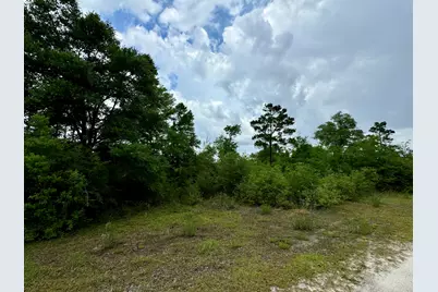Lot 12 Grassy Pond Road, Chipley, FL 32428 - Photo 8