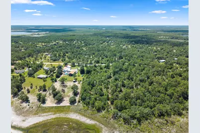 Lot 12 Grassy Pond Road, Chipley, FL 32428 - Photo 4