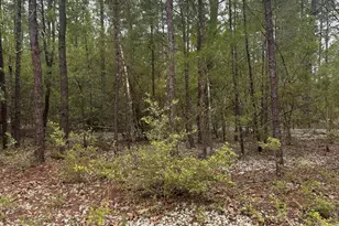 Lot 12 &13 Jonquil East Ave, Defuniak Springs, FL 32433 - Photo 2