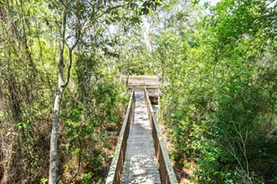 95 W Willow Mist Road W, Inlet Beach, FL 32461 - Photo 60