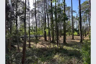 Lots 13-15 Harley Rd, Santa Rosa Beach, FL 32459 - Photo 2