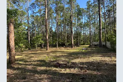 Lots 13-15 Harley Rd, Santa Rosa Beach, FL 32459 - Photo 4