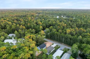 1239 E Point Washington Road E, Santa Rosa Beach, FL 32459 - Photo 62