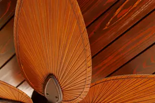 50 Camellia St, Santa Rosa Beach, FL 32459 - Photo 8