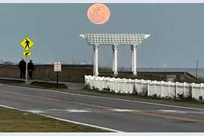 439 Sandy Cay Drive, Miramar Beach, FL 32550 - Photo 4