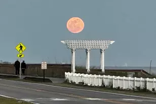 439 Sandy Cay Dr, Miramar Beach, FL 32550 - Photo 4