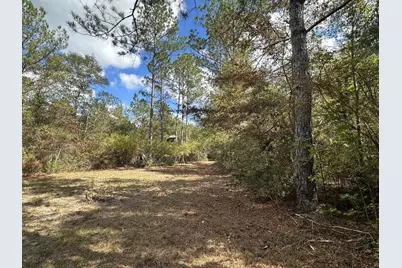 20 Ac Lacey Lane, Crestview, FL 32536 - Photo 1