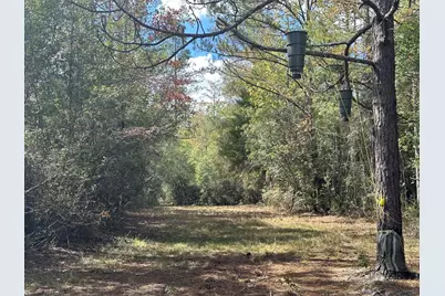 20 Ac Lacey Lane, Crestview, FL 32536 - Photo 4