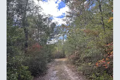 20 Ac Lacey Lane, Crestview, FL 32536 - Photo 10