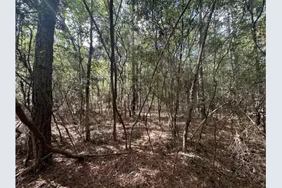 20 Ac Lacey Lane, Crestview, FL 32536 - Photo 8