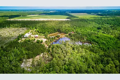 5105 Pasco Broxson Circle, Holt, FL 32564 - Photo 66