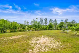 5105 Pasco Broxson Cir, Holt, FL 32564 - Photo 62