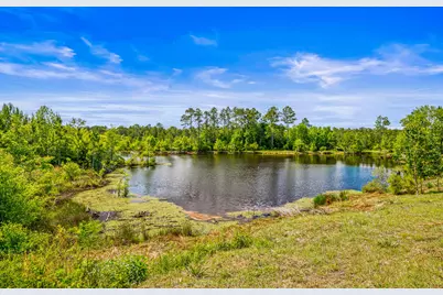 5105 Pasco Broxson Circle, Holt, FL 32564 - Photo 58
