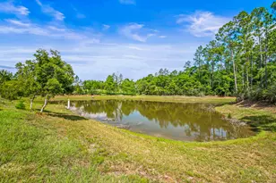 5105 Pasco Broxson Cir, Holt, FL 32564 - Photo 60