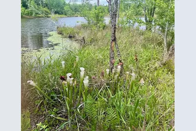 5105 Pasco Broxson Circle, Holt, FL 32564 - Photo 56