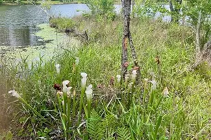 5105 Pasco Broxson Cir, Holt, FL 32564 - Photo 56