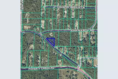 Tbd Painter Branch Road, Crestview, FL 32539 - Photo 2