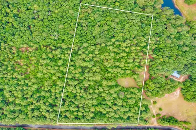 6.12 Ac Clary Road, Laurel Hill, FL 32567 - Photo 6