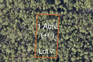 1Ac- Lot 7 Strong Bishop Way, Defuniak Springs, FL 32433 - Photo 1