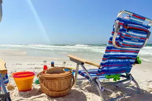 224 Sandhill Pines Dr, Santa Rosa Beach, FL 32459 - Photo 48