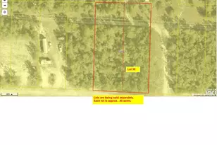 Lot 35 US Hwy 90, Defuniak Springs, FL 32433 - Photo 10