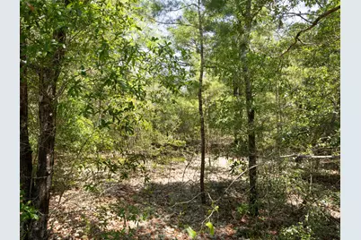 Lot 34 US Highway 90, Defuniak Springs, FL 32433 - Photo 8