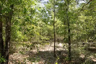 Lot 34 US Hwy 90, Defuniak Springs, FL 32433 - Photo 8