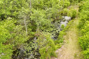 841 N 1st Street N, Defuniak Springs, FL 32433 - Photo 20