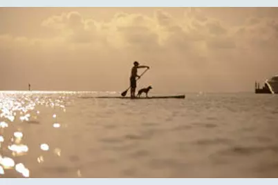 4629 Southwinds Drive #4629, Miramar Beach, FL 32550 - Photo 52