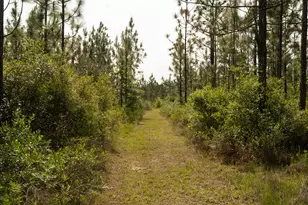 604 Charles Booker Rd, Baker, FL 32531 - Photo 12