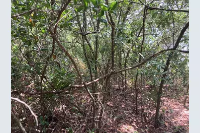 2847 US Highway 98, Mary Esther, FL 32569 - Photo 12