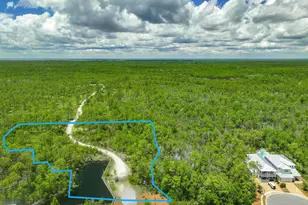 00 Pairie Pass, Santa Rosa Beach, FL 32459 - Photo 1