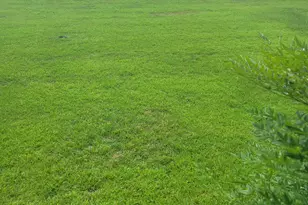 814 Maple Street St, Chipley, FL 32428 - Photo 2