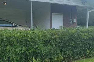 814 Maple Street St, Chipley, FL 32428 - Photo 4