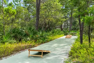 Tbd S Co Hwy 393 S, Santa Rosa Beach, FL 32459 - Photo 32