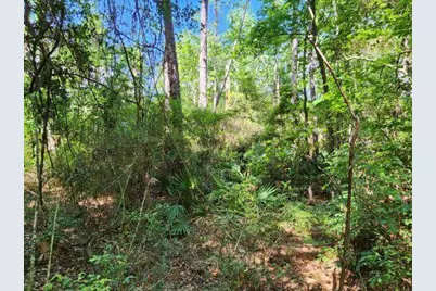 .34 Acres Co Highway 3280, Ponce de Leon, FL 32455 - Photo 16
