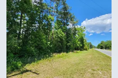 .34 Acres Co Highway 3280, Ponce de Leon, FL 32455 - Photo 10
