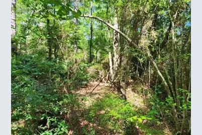 .34 Acres Co Highway 3280, Ponce de Leon, FL 32455 - Photo 12